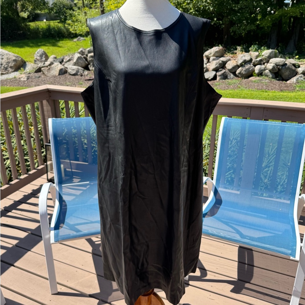 Vegan Leather Dress